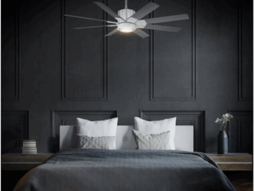 Fans Category