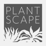 Plantscape